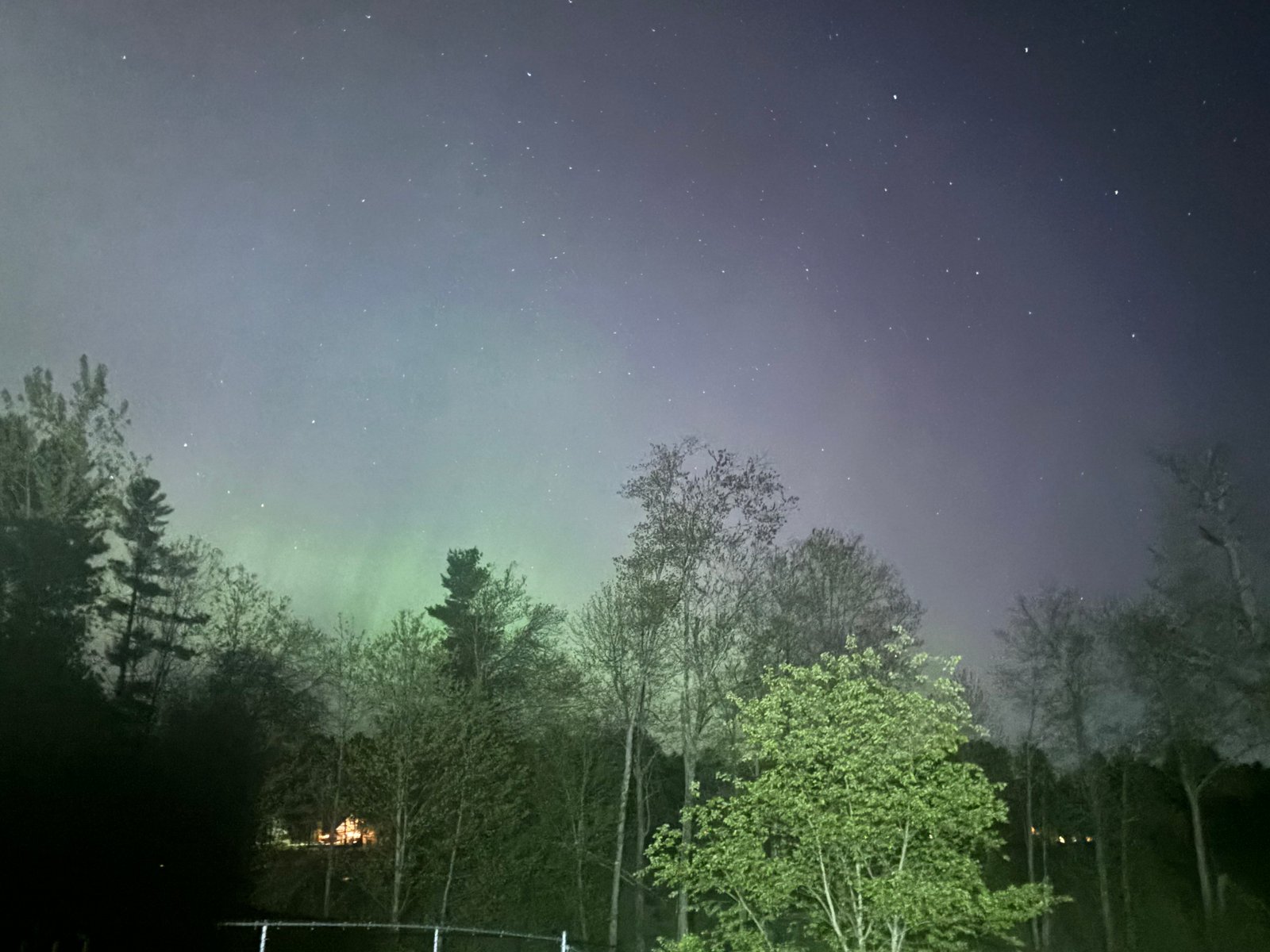 the northern lights from my backyard